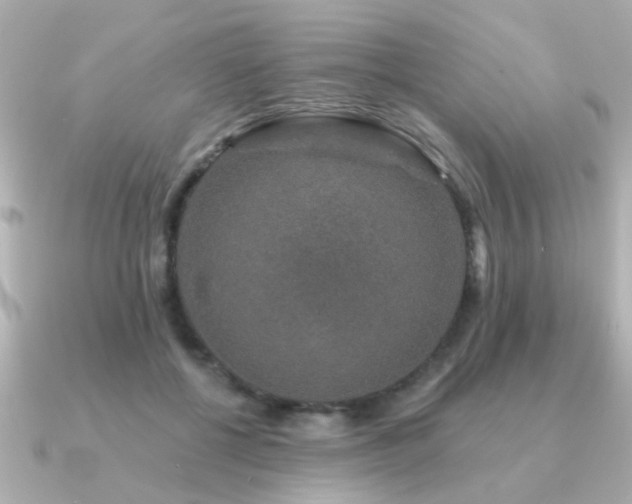 X0000091330552200708101428