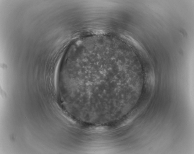 X0000091330553200708101428