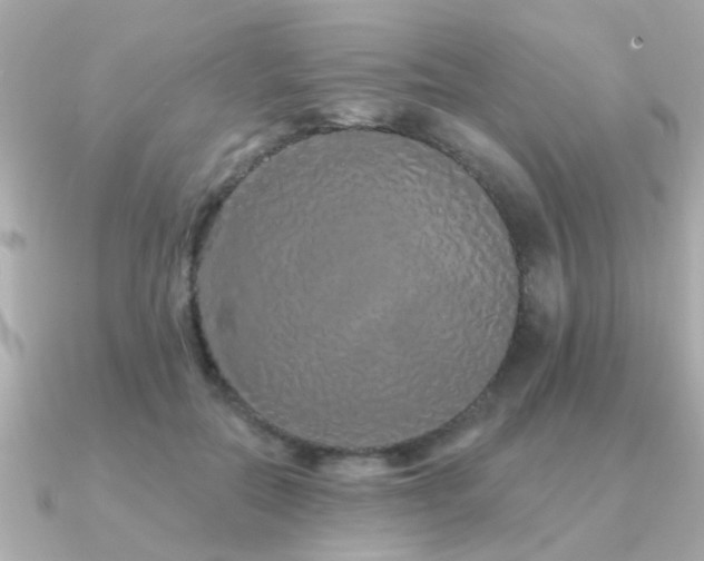 X0000091330554200708101428