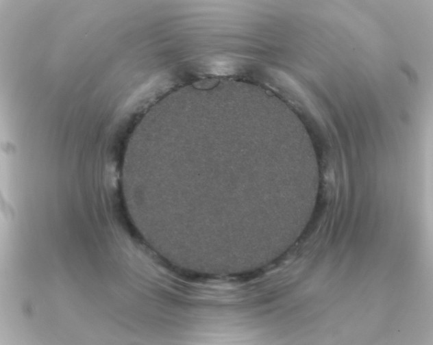 X0000091330555200708101428