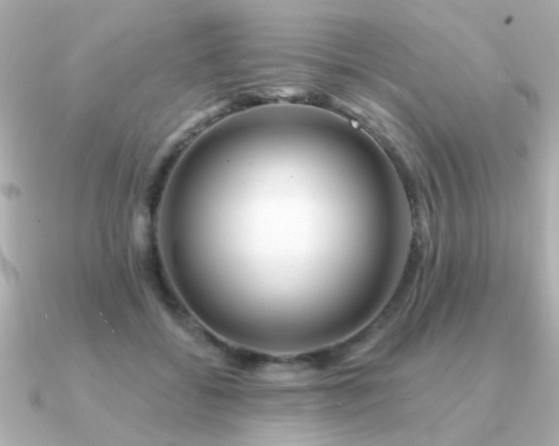 X0000091330556200708101428