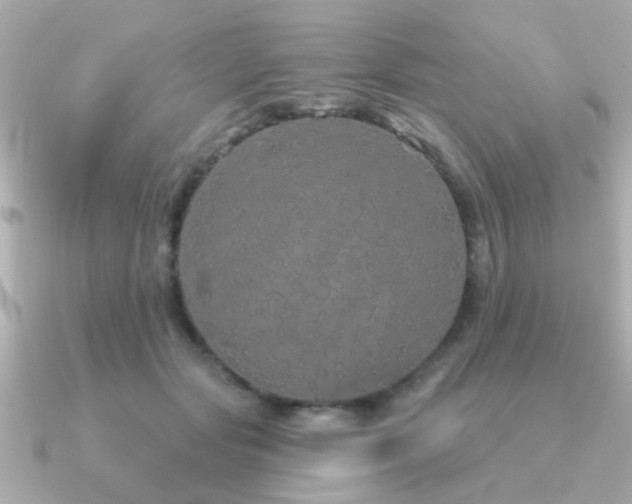 X0000091330557200708101428