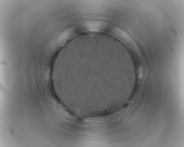 X0000091330559200708101428