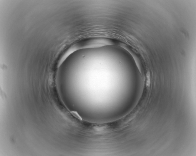 X0000091330560200708101428