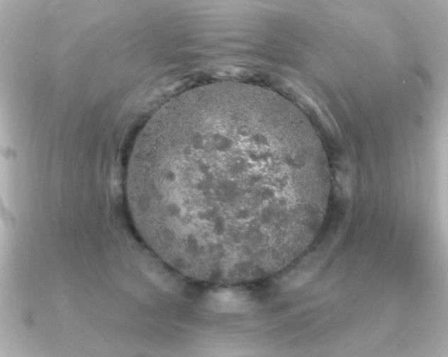 X0000091330561200708101428