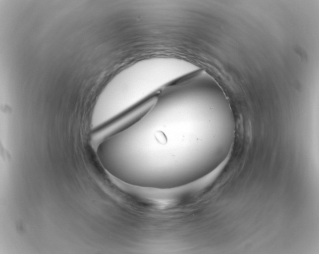 X0000091330564200708101428