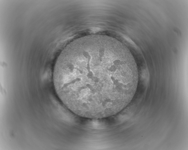 X0000091330565200708101428