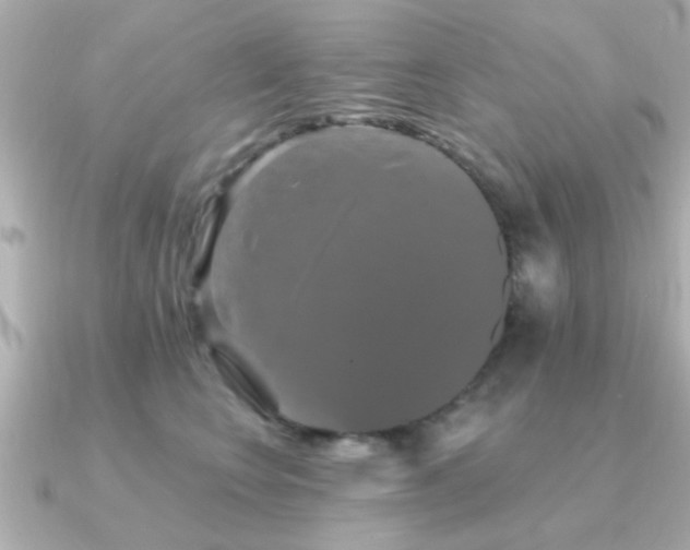X0000091330566200708101428