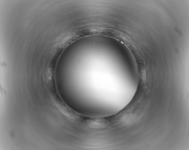 X0000091330567200708101428