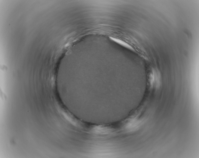 X0000091330568200708101428