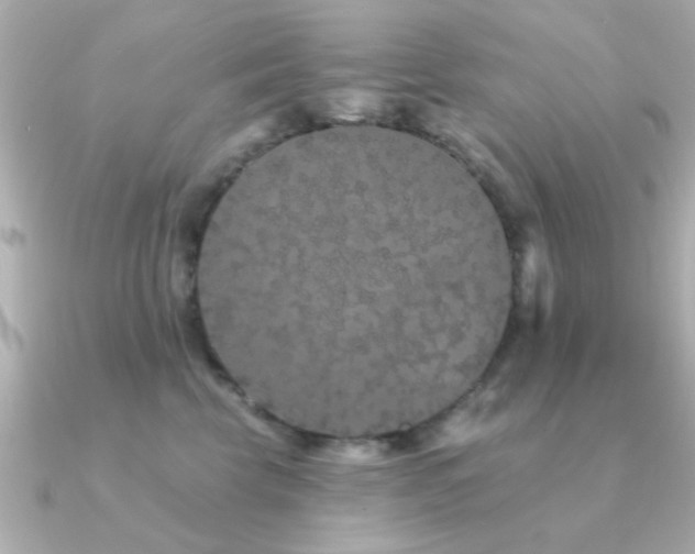 X0000091330569200708101428