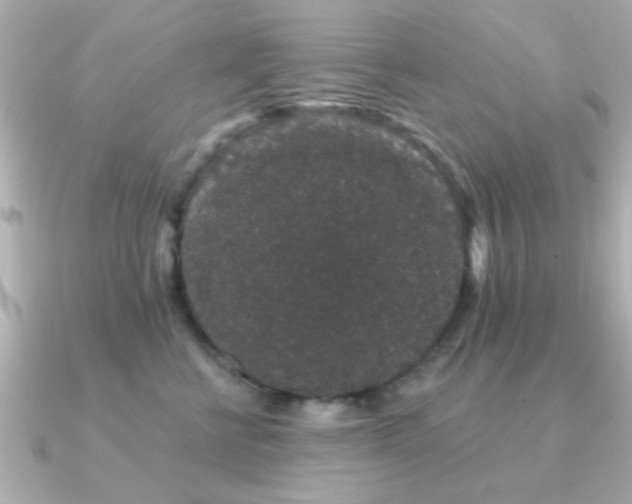 X0000091330570200708101428