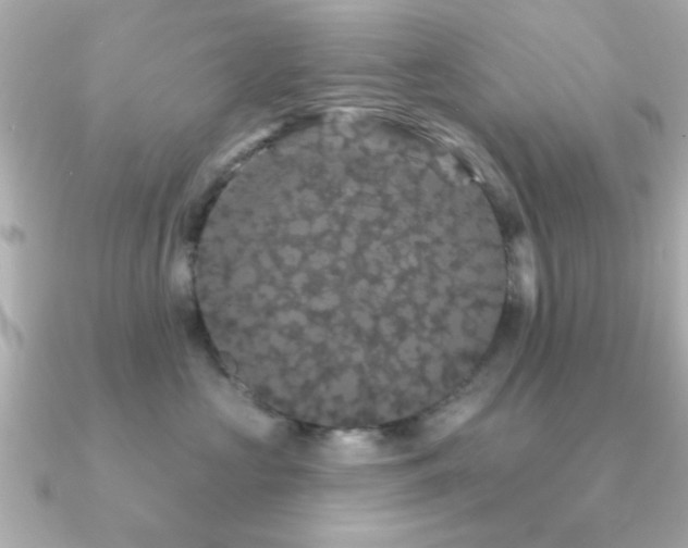 X0000091330573200708101428