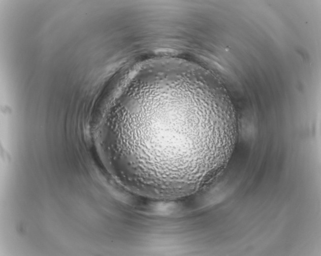 X0000091330575200708101428