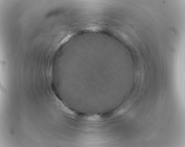 X0000091330576200708101428