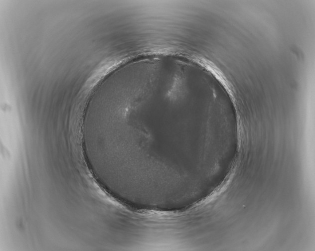 X0000091330577200708101427