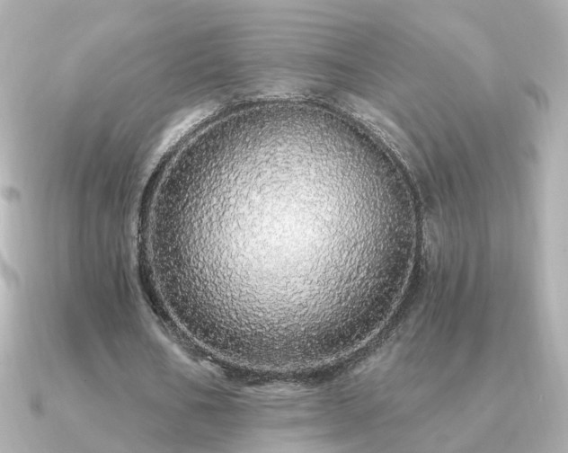 X0000091330578200708101427