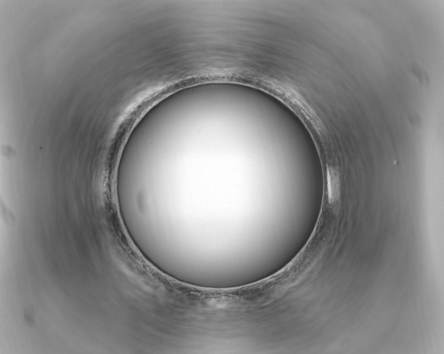 X0000091330579200708101427