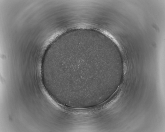 X0000091330581200708101427