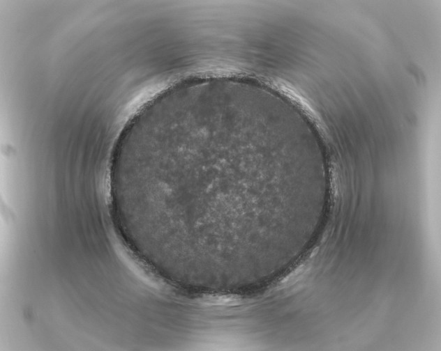 X0000091330582200708101427