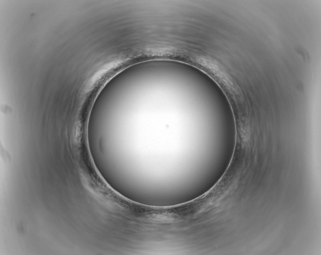 X0000091330583200708101427