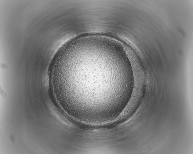 X0000091330584200708101427