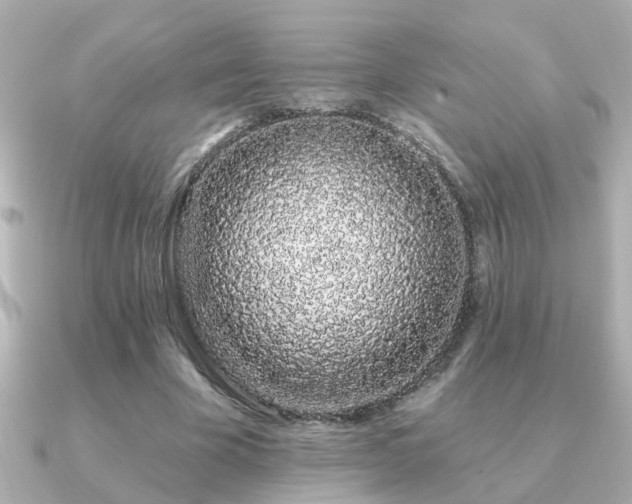 X0000091330585200708101427