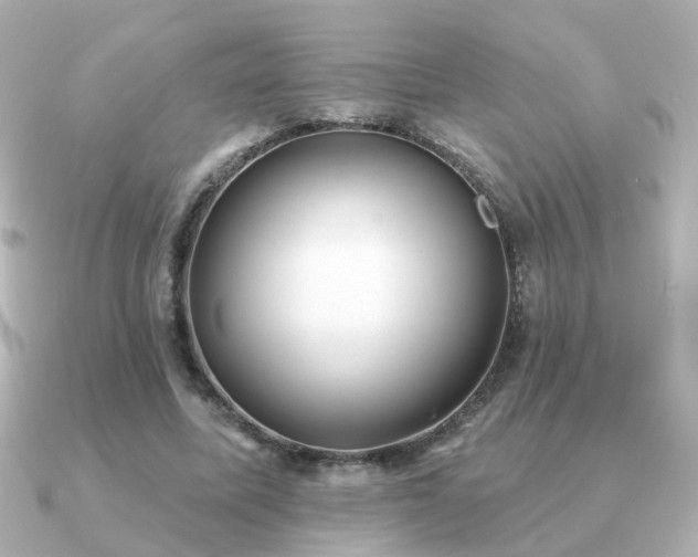 X0000091330587200708101427