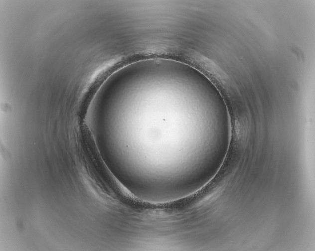 X0000091330588200708101427