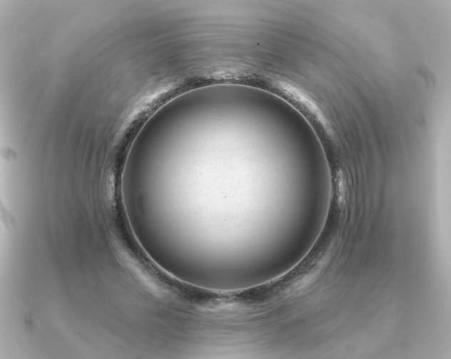 X0000091330589200708101427