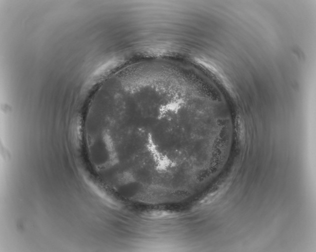 X0000091330590200708101427