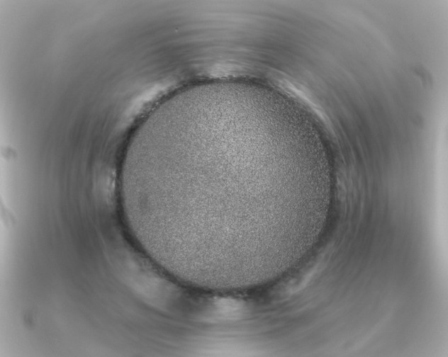 X0000091330592200708101427