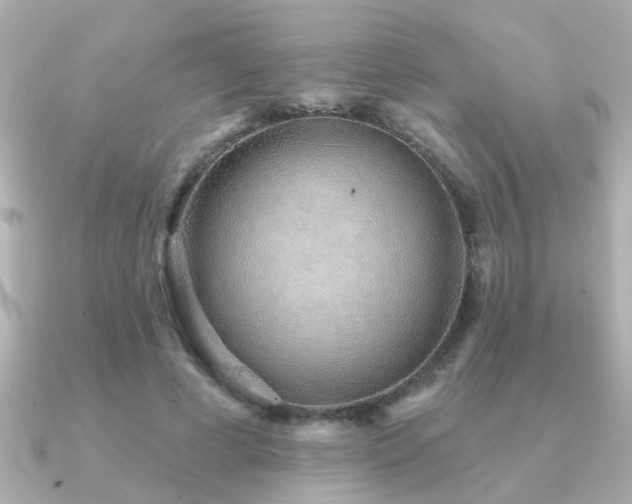 X0000091330593200708101427