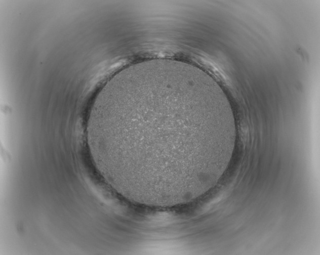 X0000091330594200708101427