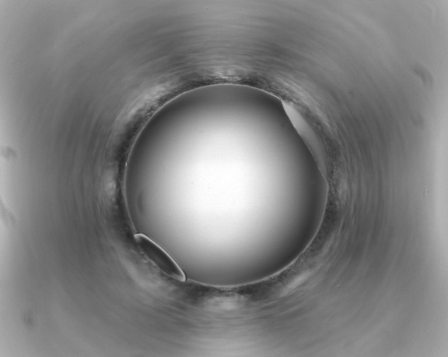 X0000091330595200708101427