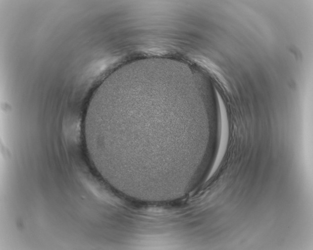 X0000091330596200708101427