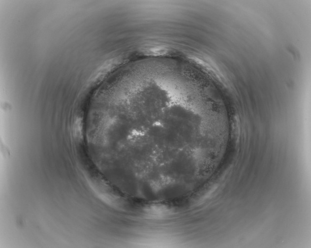 X0000091330598200708101427