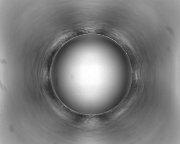 X0000091330599200708101427