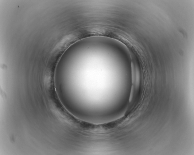 X0000091330600200708101427