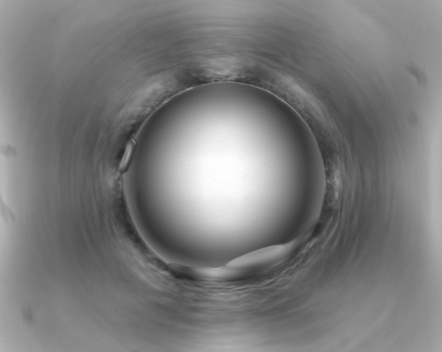 X0000091330601200708101427
