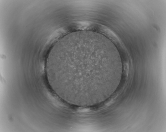 X0000091330602200708101427