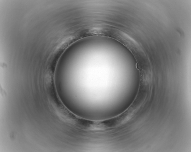 X0000091330603200708101427