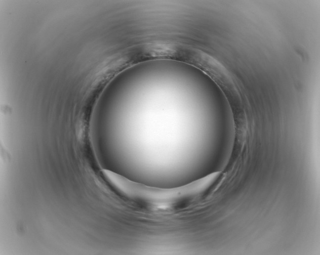 X0000091330604200708101427