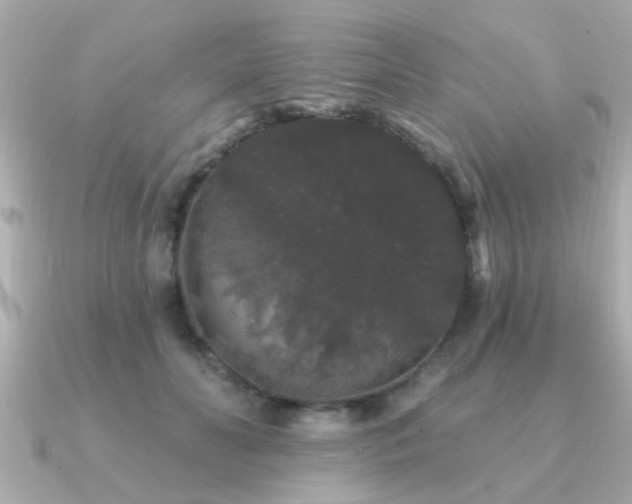 X0000091330606200708101427