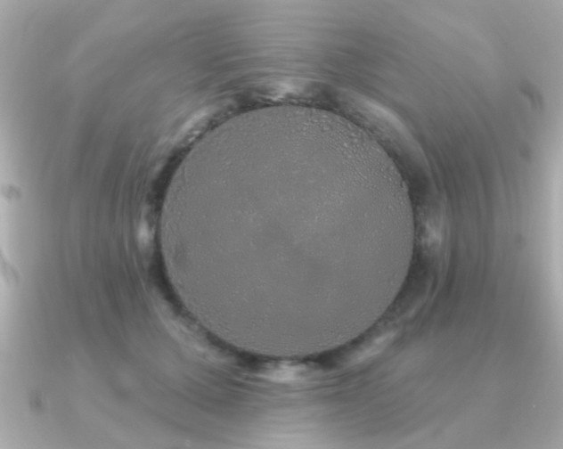 X0000091330607200708101427