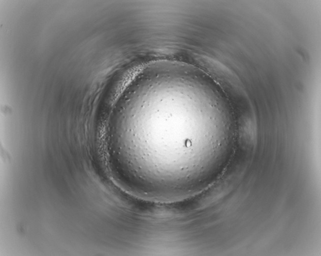 X0000091330608200708101427