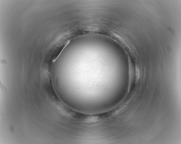 X0000091330609200708101427