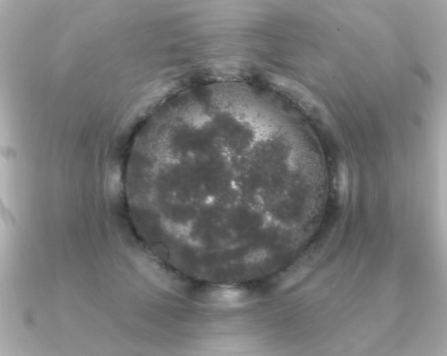 X0000091330610200708101427