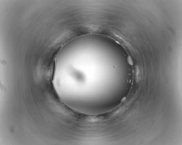 X0000091330613200708101427
