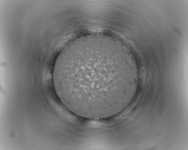 X0000091330614200708101427